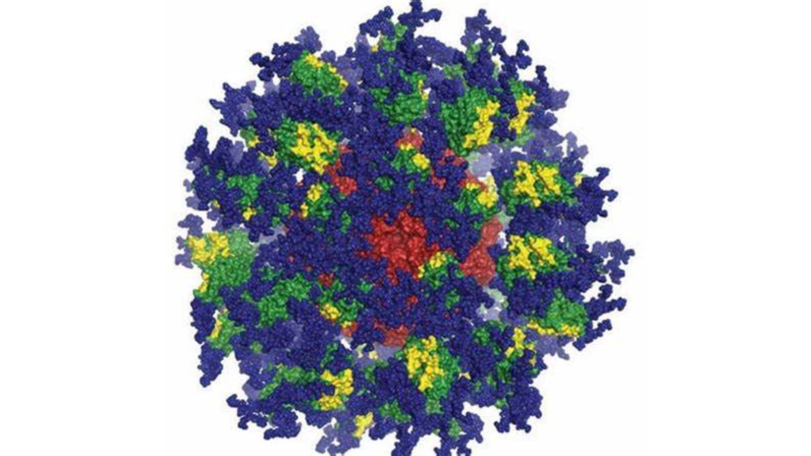 Computer image of the eOD-GT8 immune-stimulating protein. Image courtesy of Joseph Jardine, Sergey Menis, and William Schief of Scripps Research and IAVI.