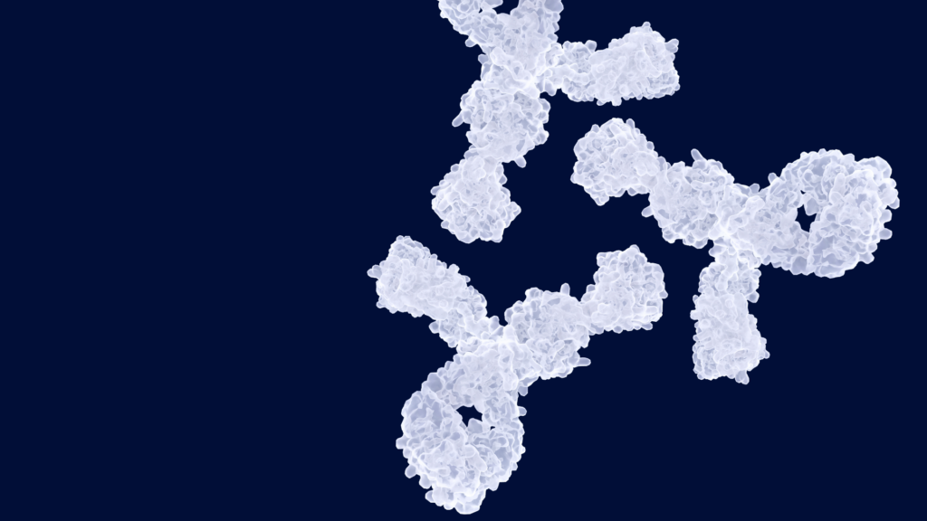 HIV broadly neutralizing antibodies