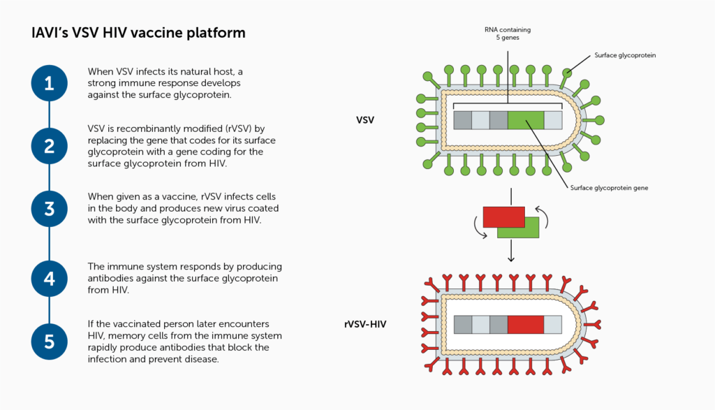 cad diagram