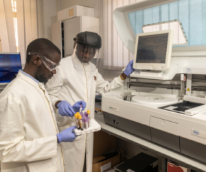 Two scientists working in a lab