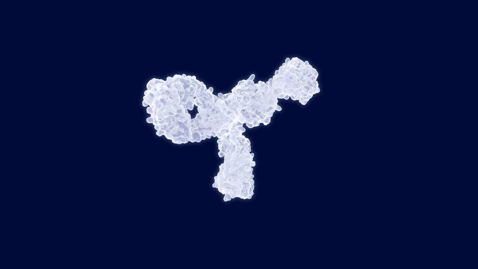 Image of an antibody