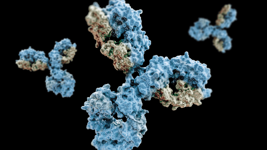 Antibodies to cell movement of the virus. Credit: Getty Images