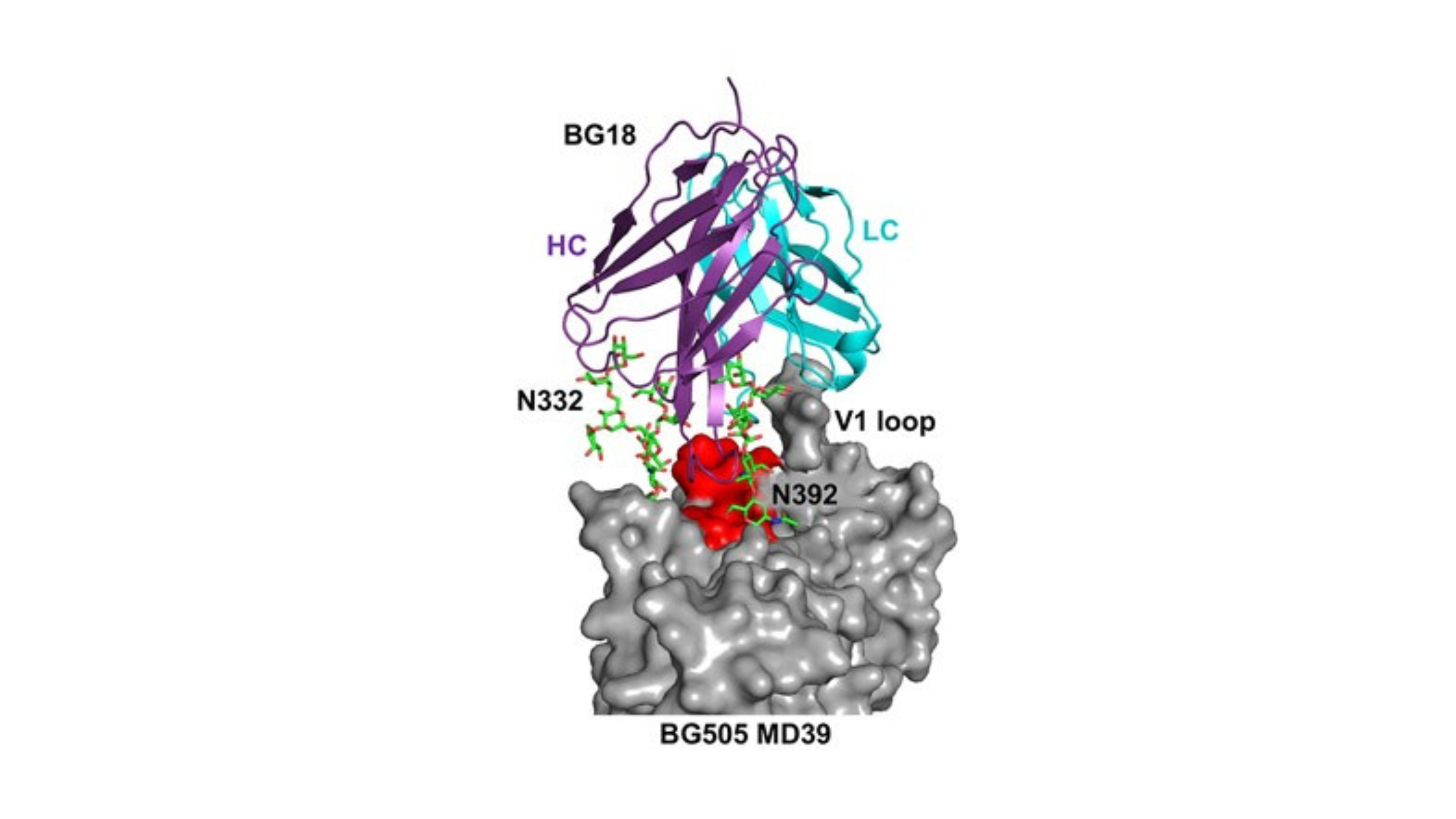 Steichen Hiv Nihms 1568126 F0001 V2