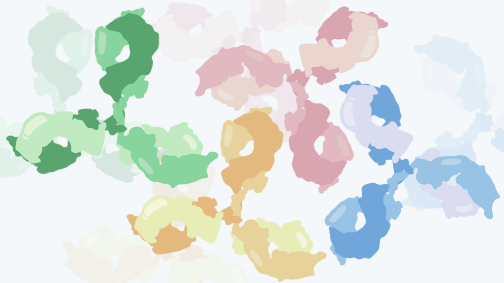 Antibodies
