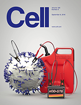 Cell cover 8 September 2016