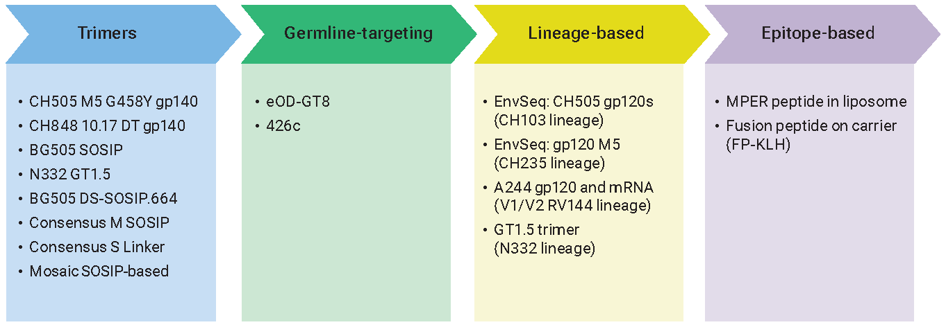 Immunogens pipeline