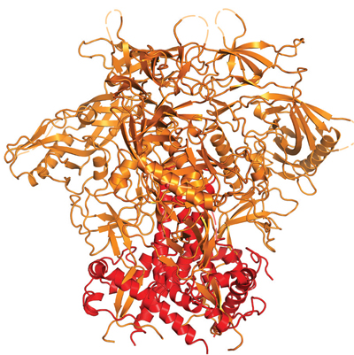 2013 ribbon structure